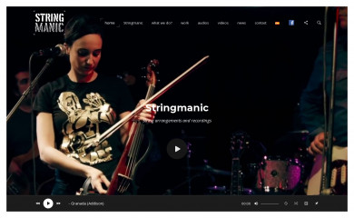 stringmanic.com screenshot