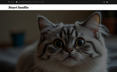 stuartsandlin.com screenshot