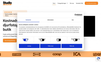 studioexpress.se screenshot