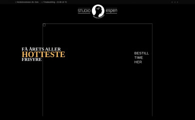 studioespen.no screenshot