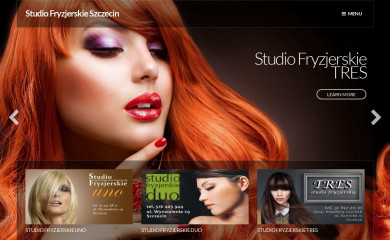 studiofryzjerskie.szczecin.pl screenshot