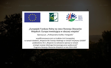 studiohanomet.pl screenshot