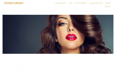 studiouroda.com.pl screenshot