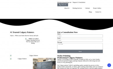 styluxpainting.com screenshot
