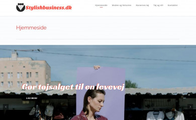 stylishbusiness.dk screenshot