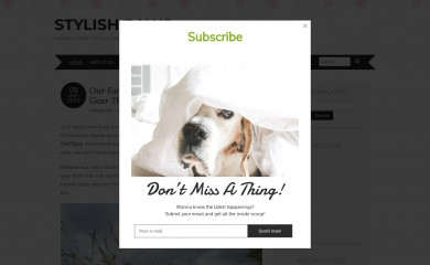 stylishpaws.co.za screenshot