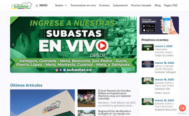 subastar.com.co screenshot
