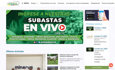 subastar.com.co screenshot