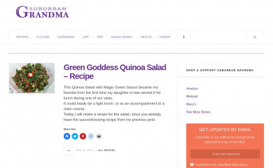 suburbangrandma.com screenshot