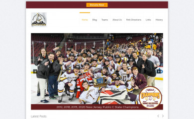 summithockey.net screenshot