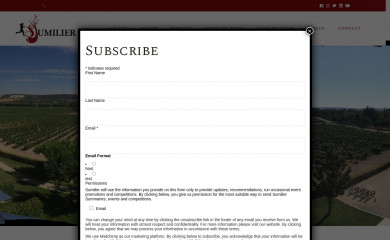 sumilier.com screenshot