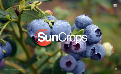 suncrops.fr screenshot