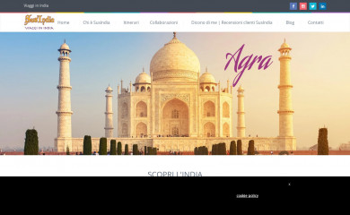 susindia.it screenshot