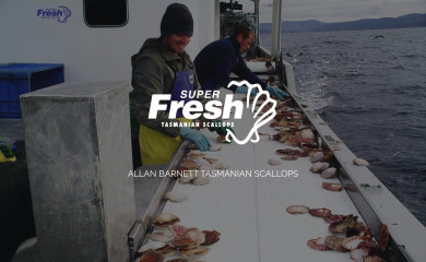 superfreshscallops.com.au screenshot