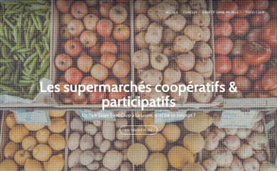 supermarches-cooperatifs.fr screenshot