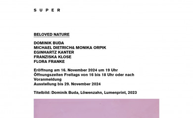 supersuper.at screenshot