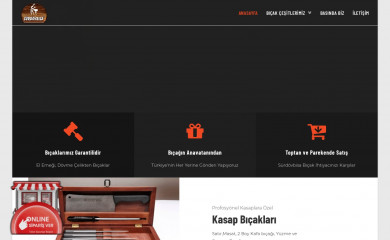 surdovbisa.com screenshot