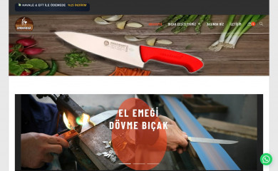 surdovbisa.com screenshot
