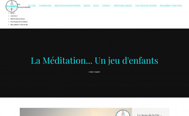 surrendipity.fr screenshot