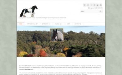 surreysprings.com.au screenshot