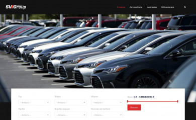 sv-group.biz screenshot