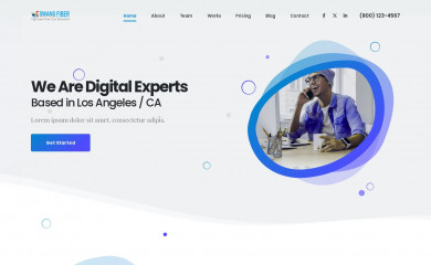 swansfiber.com screenshot