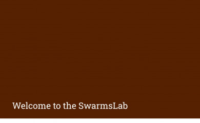 swarmslab.com screenshot