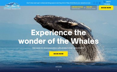 sydneyharbourwhalewatching.com.au screenshot