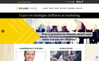 sylvainchasse.com screenshot