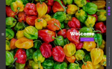 sylviavroklage.nl screenshot