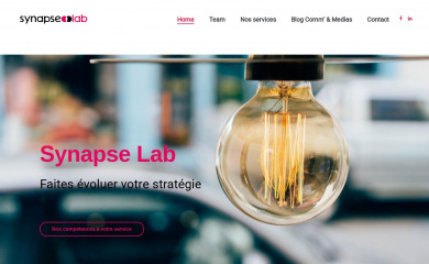 synapselab.ch screenshot