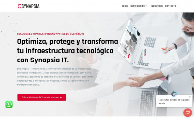 synapsia.com.mx screenshot
