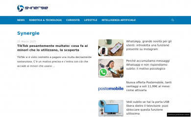 synergie.it screenshot