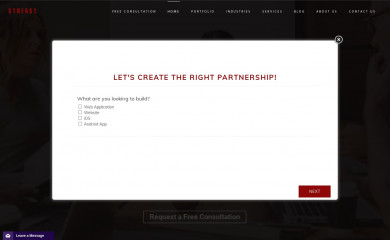 synergyconsulting.us screenshot