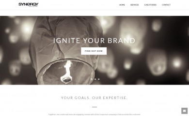 synergydr.com screenshot