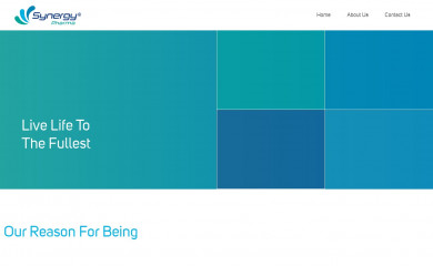 synergypharma.ae screenshot