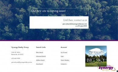 synergyrealtynwa.com screenshot