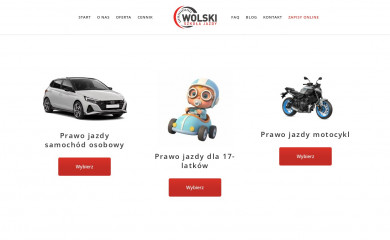 szkolajazdy.pl screenshot