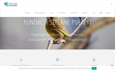 szklanepulapki.pl screenshot