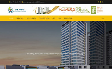 saepaing.com screenshot