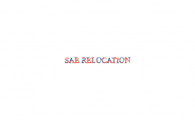 saerelo.com screenshot