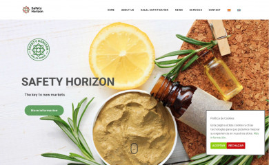 safetyhorizon.net screenshot