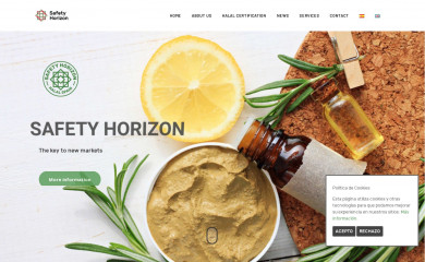safetyhorizon.net screenshot