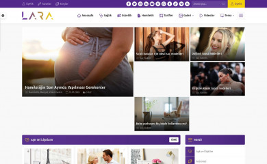 Lara Wordpress Teması screenshot