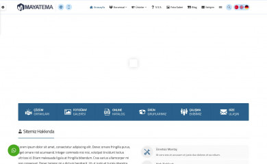 Safir Maya Wordpress Teması screenshot