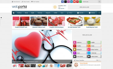 Safir Webportal Wordpress Teması screenshot
