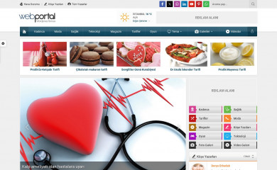 Safir Webportal Wordpress Teması screenshot