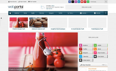 Safir Webportal Wordpress Teması screenshot
