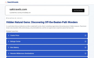 saktravels.com screenshot