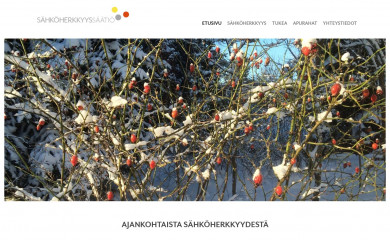 sahkoherkkyyssaatio.fi screenshot